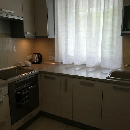 Sas Central Park Apartman *